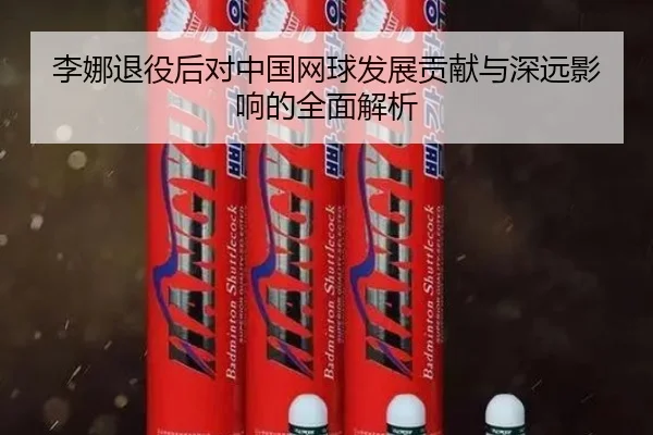 李娜退役后对中国网球发展贡献与深远影响的全面解析